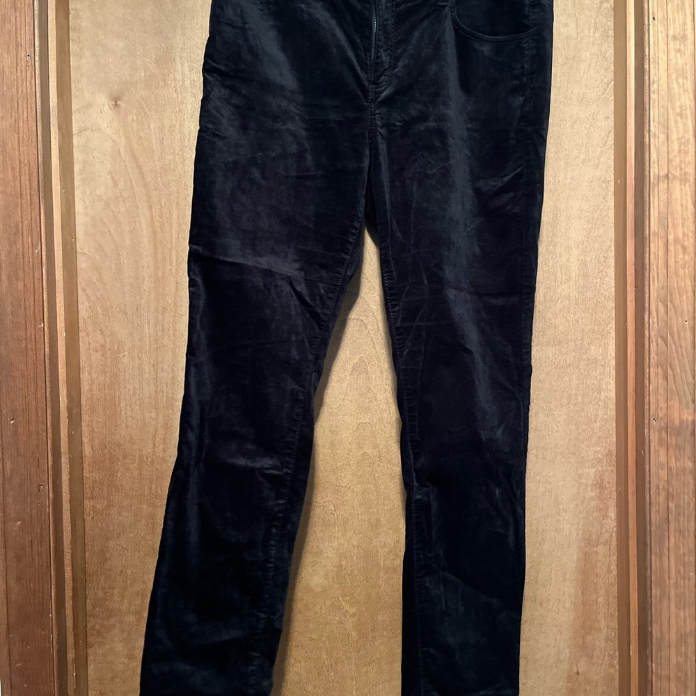 LOFT Women's Dark Velvet Pants